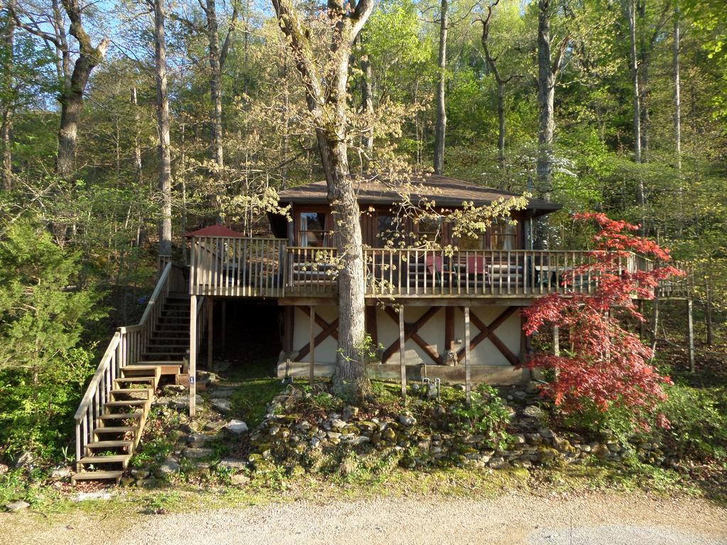 הוילה יוריקה ספרינגס Lake Lucerne Treehouse מראה חיצוני תמונה
